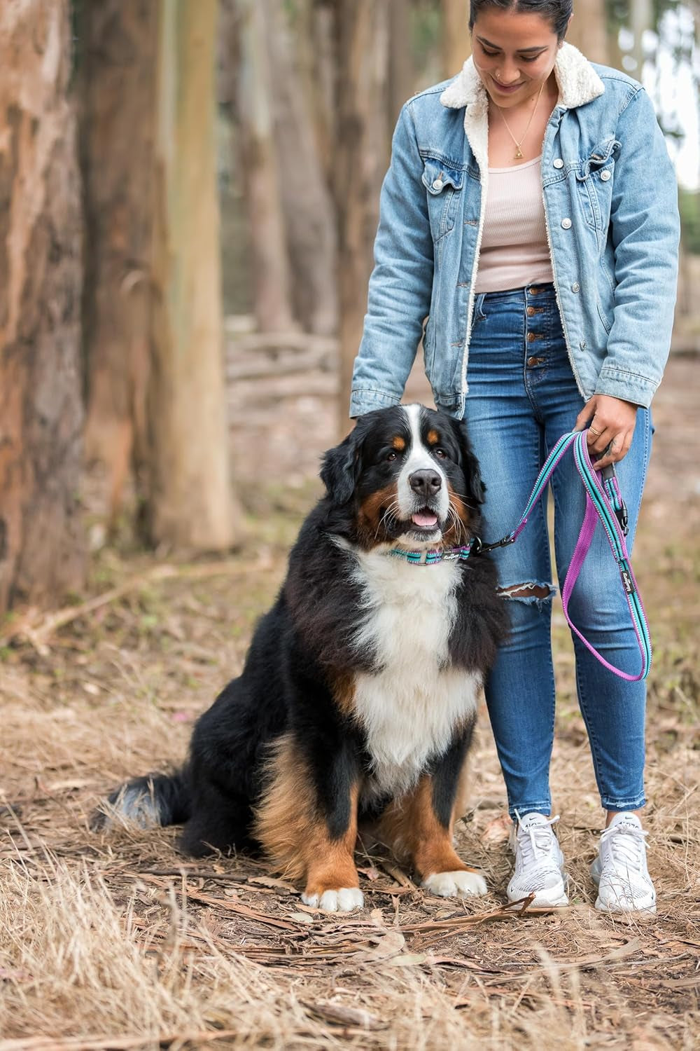 Safety Dog Collar with Dual D-Rings | 3M Reflective Multi-Colored Adjustable Collar in Blue and Yellow | Soft Nylon Dog Collar for Active Large Dogs