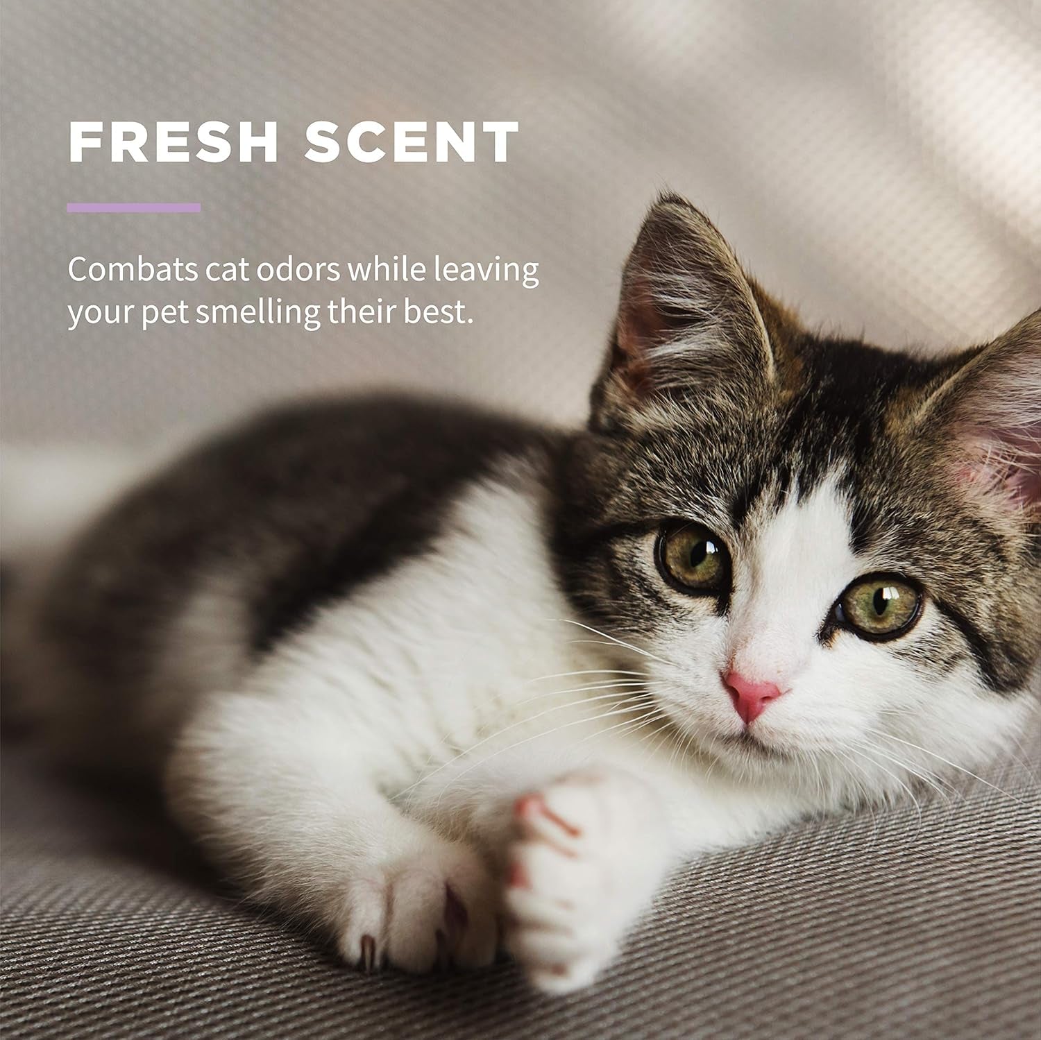 for Pets Delicate Clean Kitten Wipes for Cats with Oatmeal Cat Cleaning Wipes, Mild & Soothing Cat Grooming Wipes with Wet Lock Seal(Pack of 8, 240 Count Total)