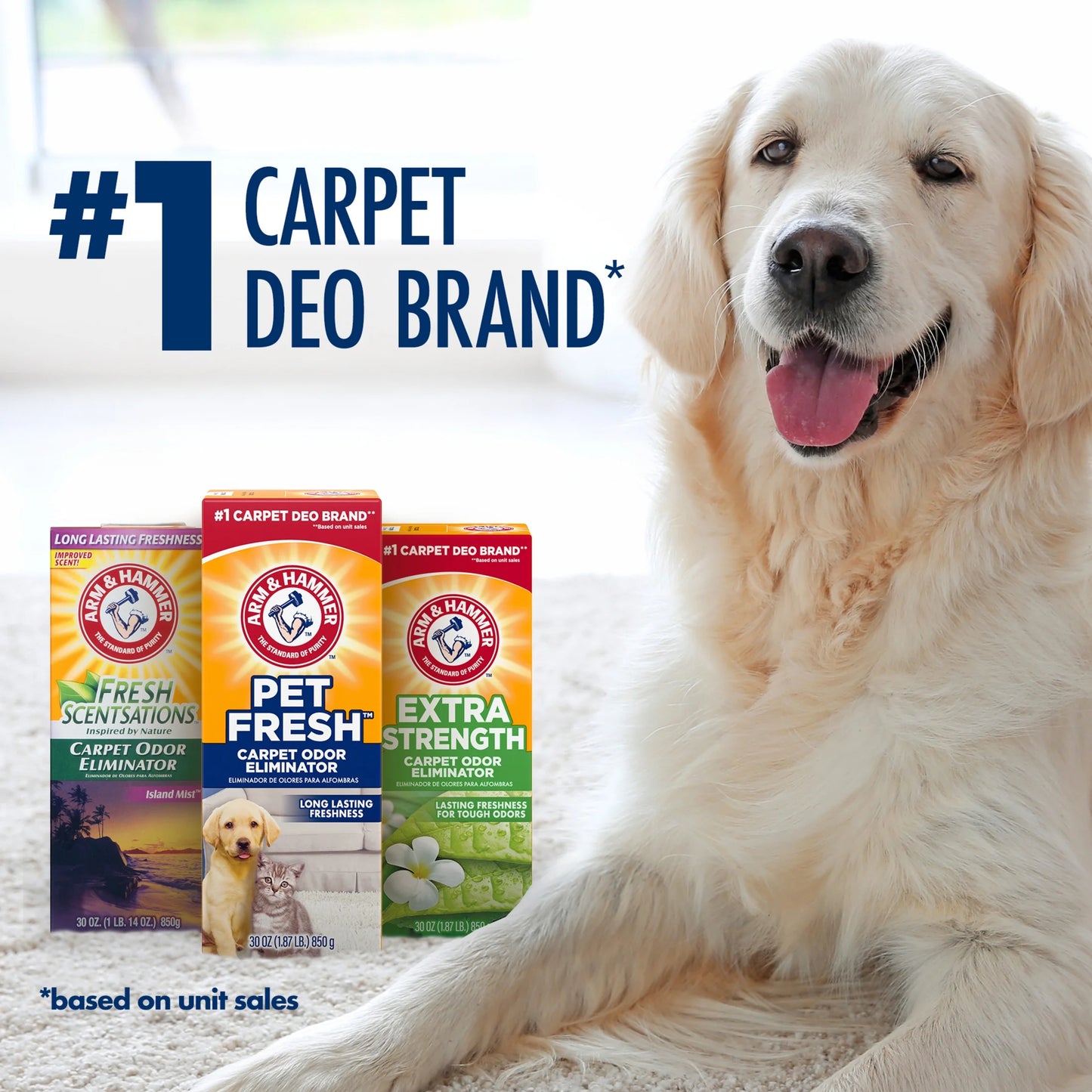 Pet Fresh Carpet Odor Eliminator, for Homes with Dogs and Cats, Fresh Scent, 42.6 Oz