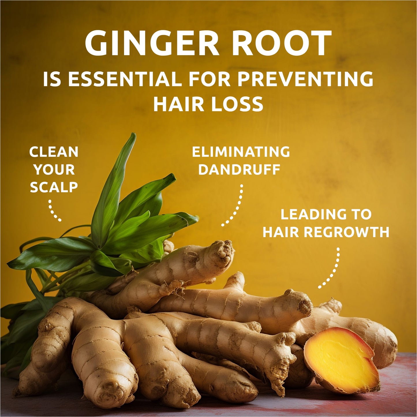 Organic Ginger Root Solid Shampoo Bar for Hair Growth Handmade in USA Natural and Safe by