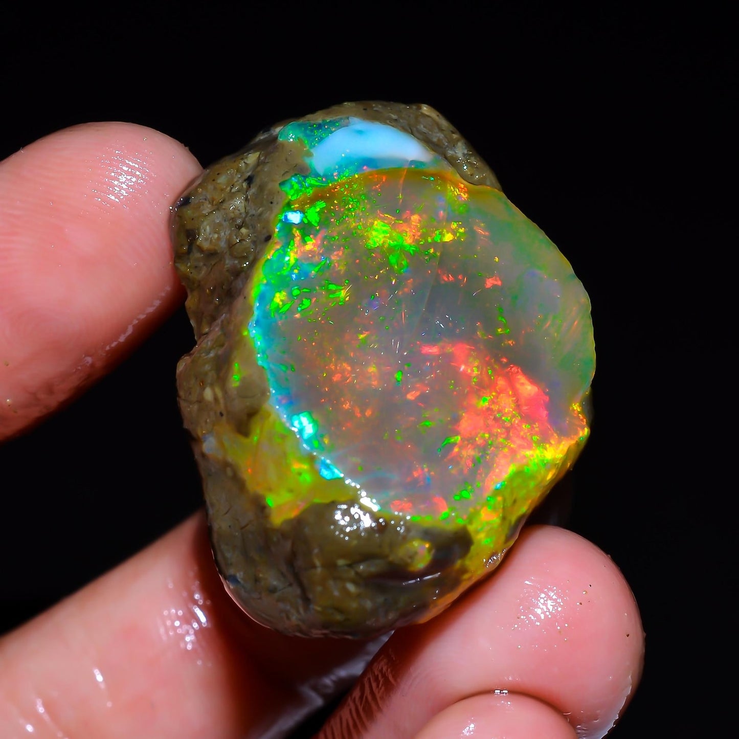 AAA-Grade 67ct Rainbow Rough Opal
