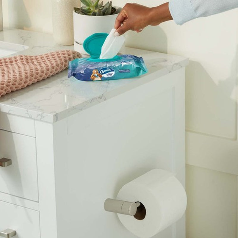 Charmin Flushable Wipes 2 Pack 40 Sheets Portable Cleaning Wipes