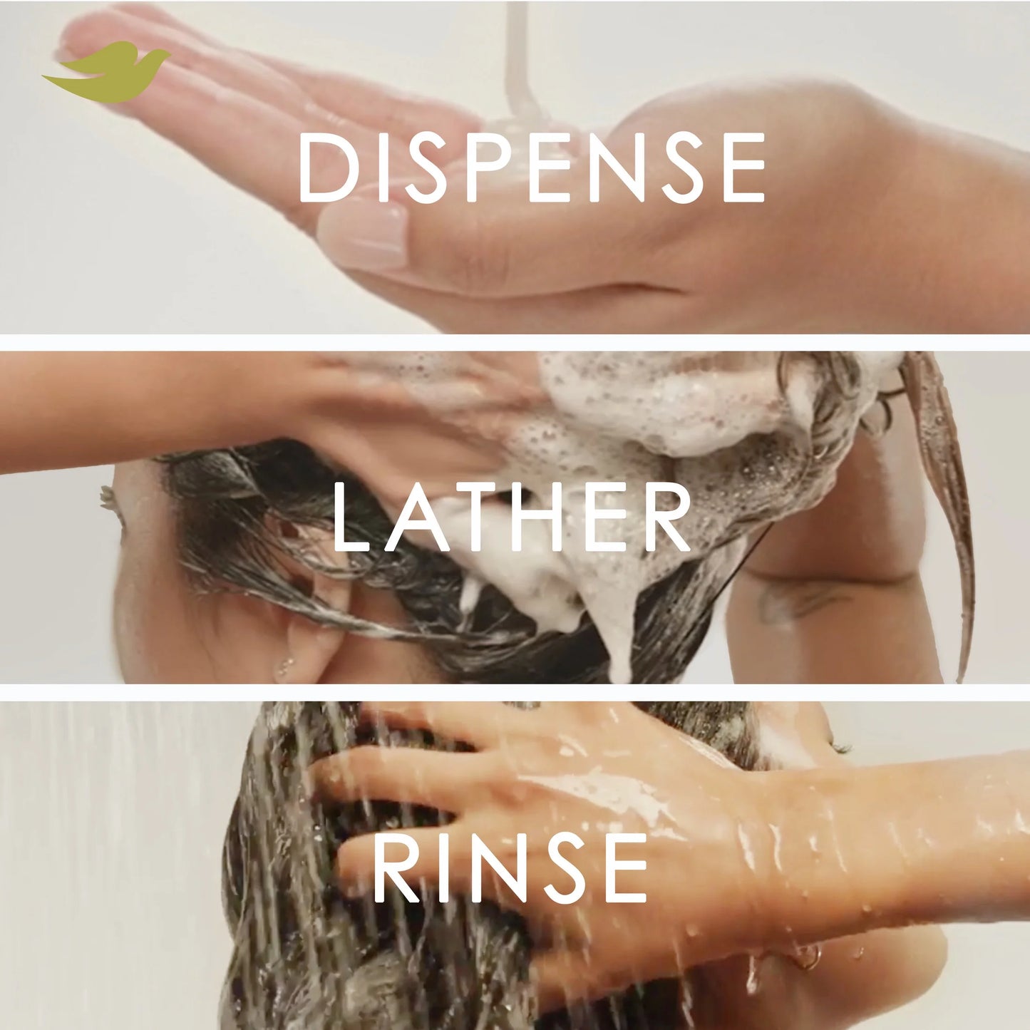 Damage Therapy Derma Anti-Dandruff Shampoo for Flaky Scalp Dryness + Itch with Pyrithione Zinc & Coconut Oil, 12 Oz