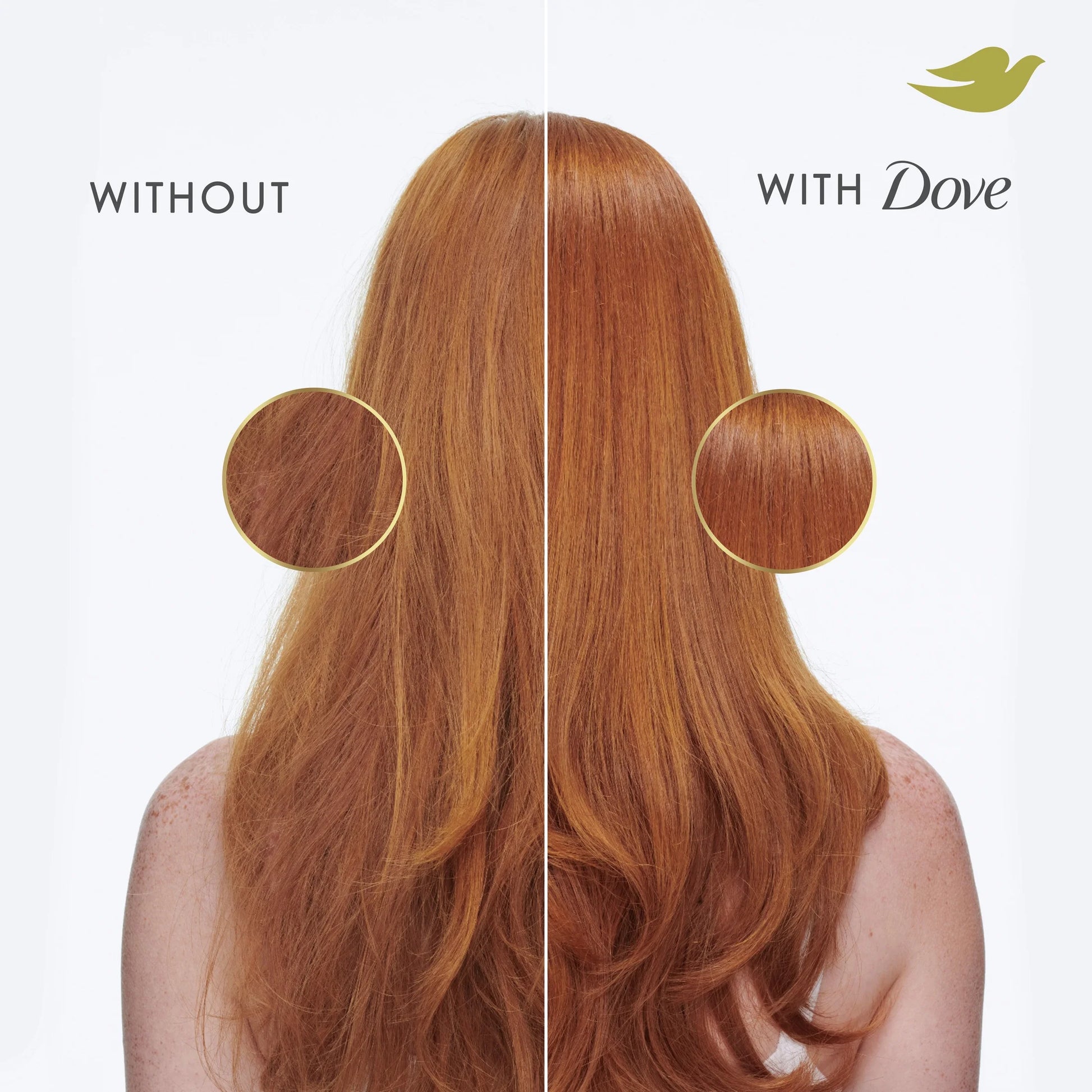 Damage Therapy Shampoo Daily Moisture with Bio-Protein Care Technology & Hyaluronic Serum, 12 Oz