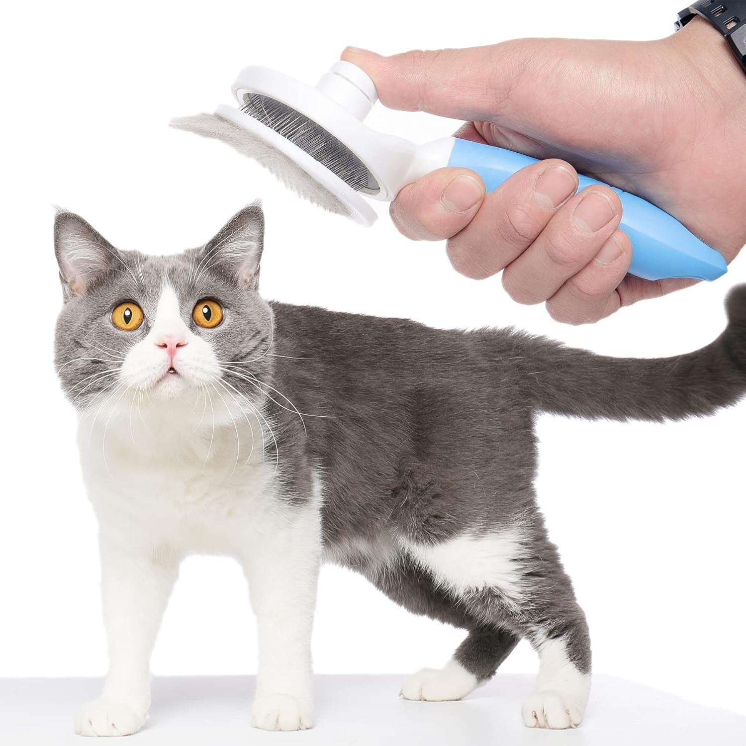 Cat Brush Shedding,Dog Grooming Supplies ; Cat Dogs Hairbrush Carding Hair Removal (Blue)