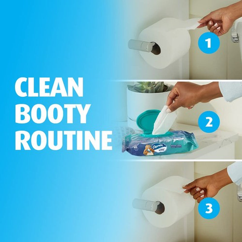 Charmin Flushable Wipes 2 Pack 40 Sheets Portable Cleaning Wipes