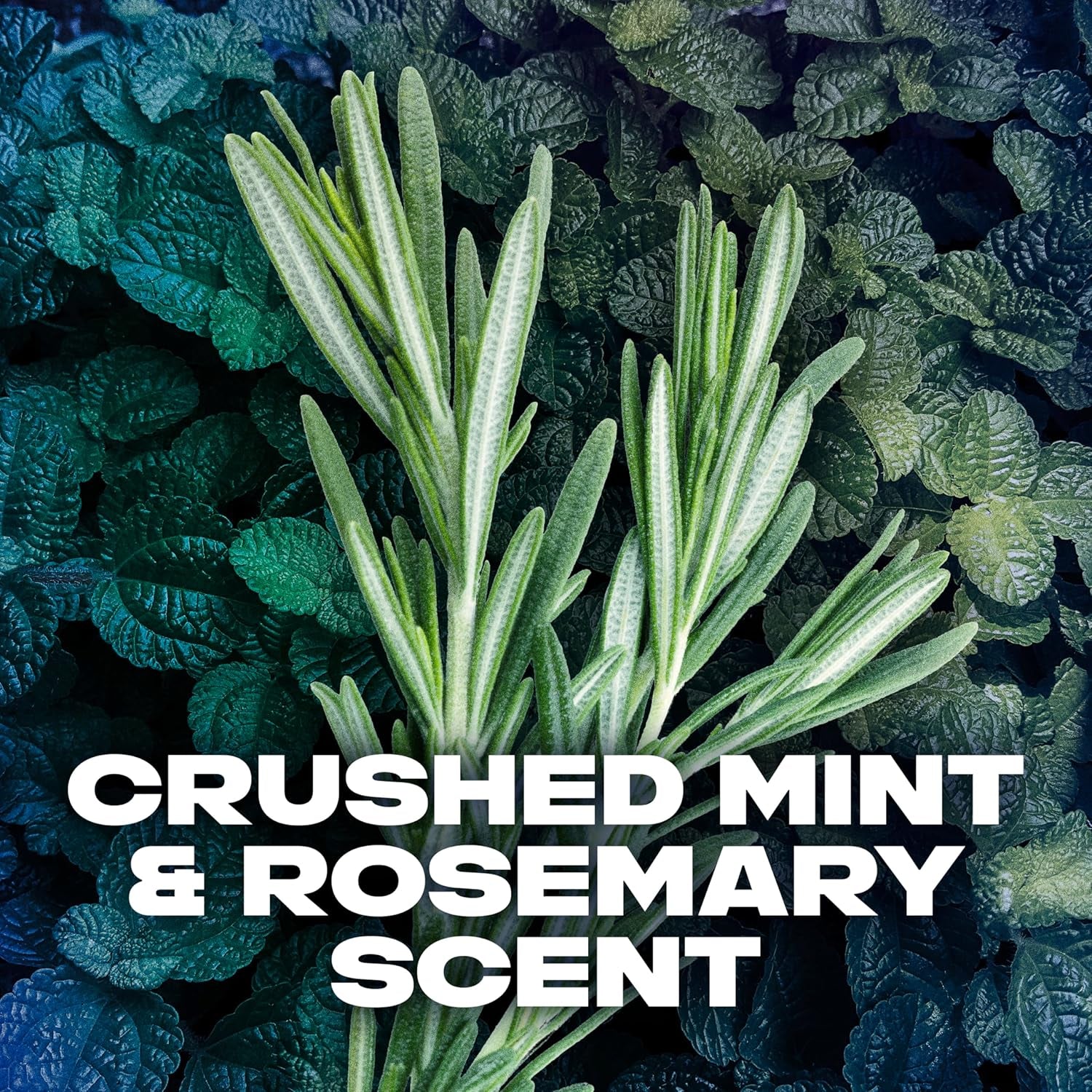 Dual Action Deodorant Stick for Long Lasting Odor Protection, Phoenix Crushed Mint & Rosemary Men'S Deo, Aluminum Free 3Oz Twin Pack