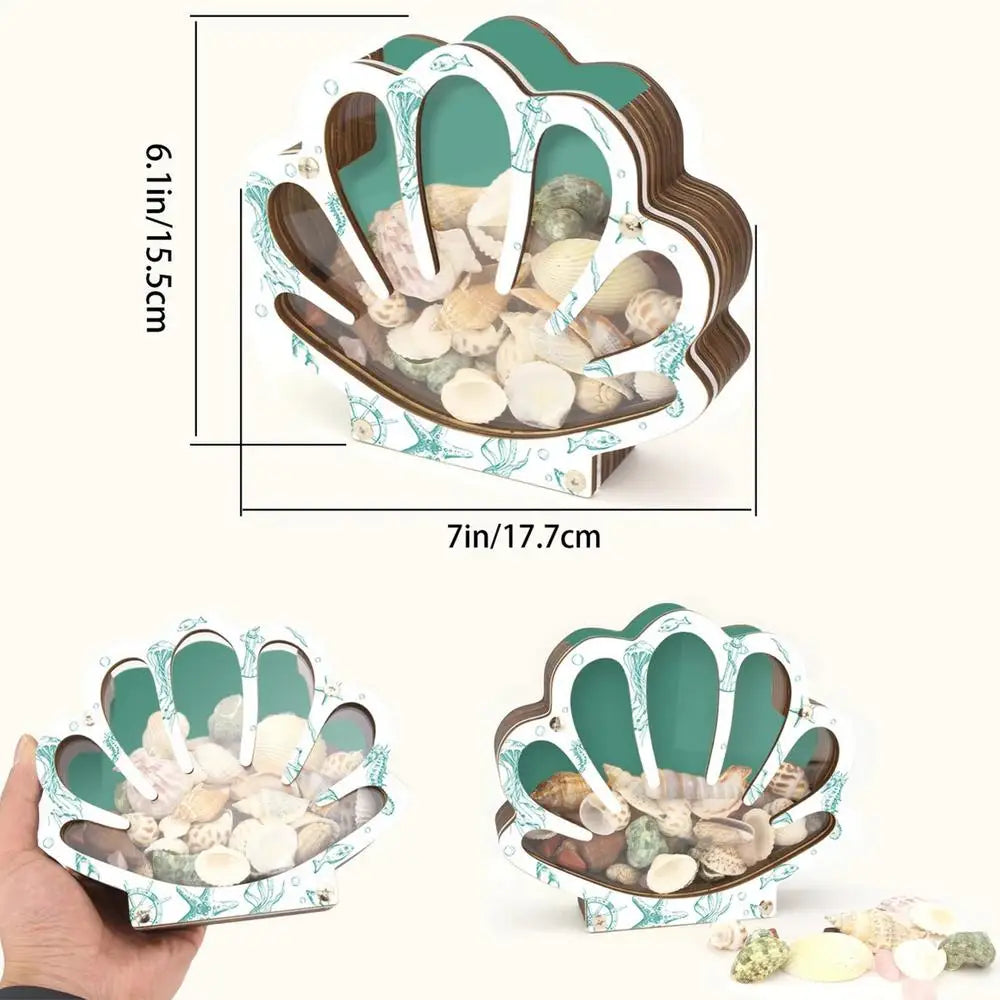 Empty Box Shells Storage Container Decorative Organizer Jewelry Beads Trinket Clear Gift Creative Desktop Shells Display Box