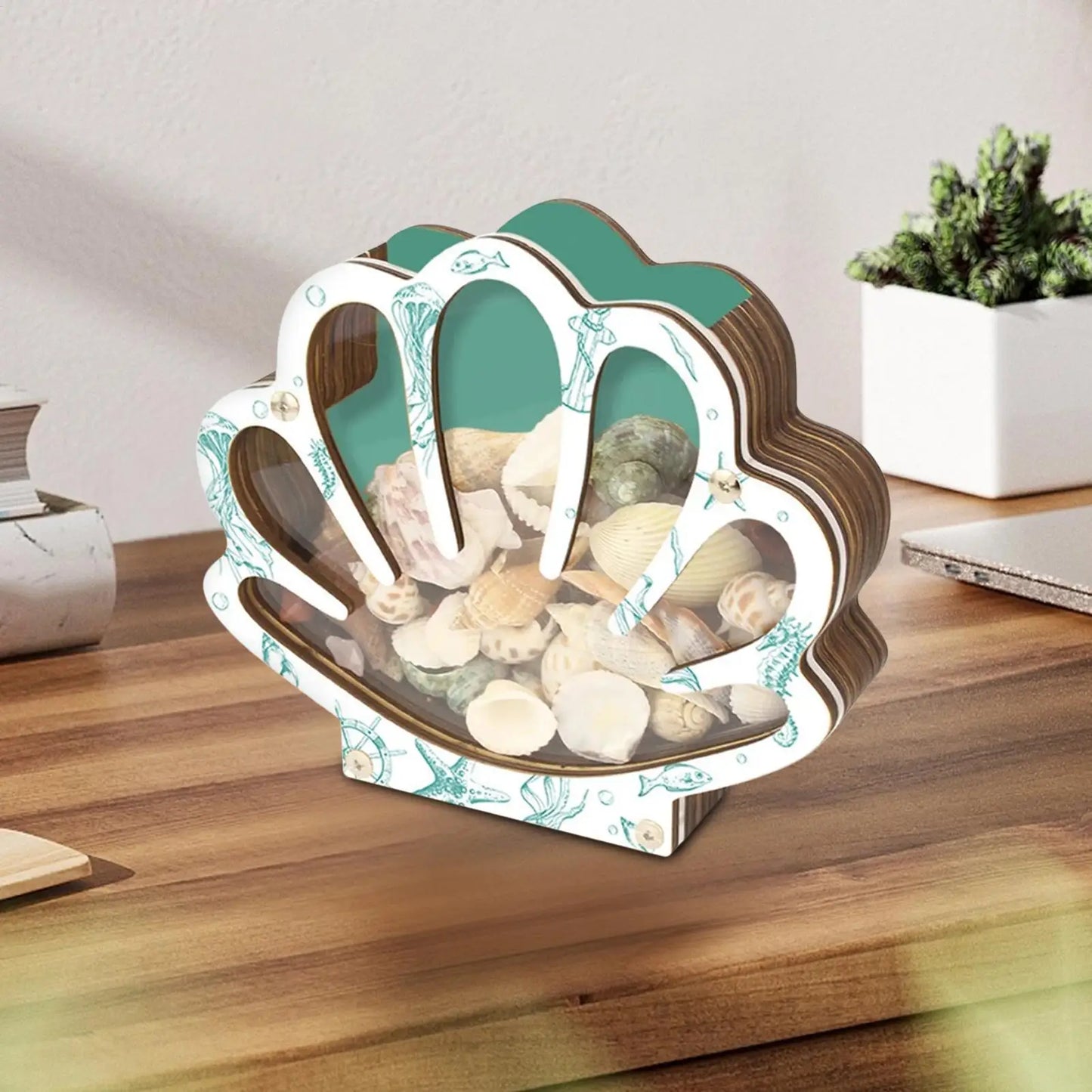 Empty Box Shells Storage Container Decorative Organizer Jewelry Beads Trinket Clear Gift Creative Desktop Shells Display Box