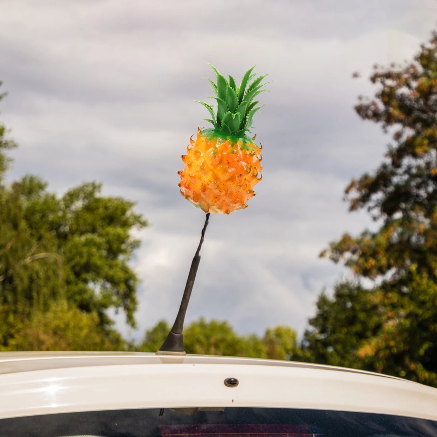 Car Decorations Cute Accessory for Vehicles SUV Auto Supply Car Auto Antenna Topper Accessory Exterior