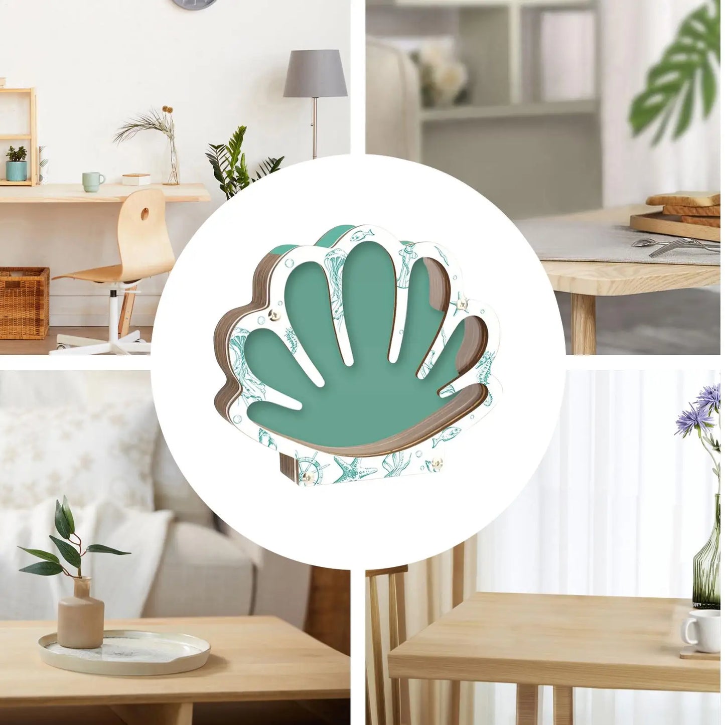 Empty Box Shells Storage Container Decorative Organizer Jewelry Beads Trinket Clear Gift Creative Desktop Shells Display Box