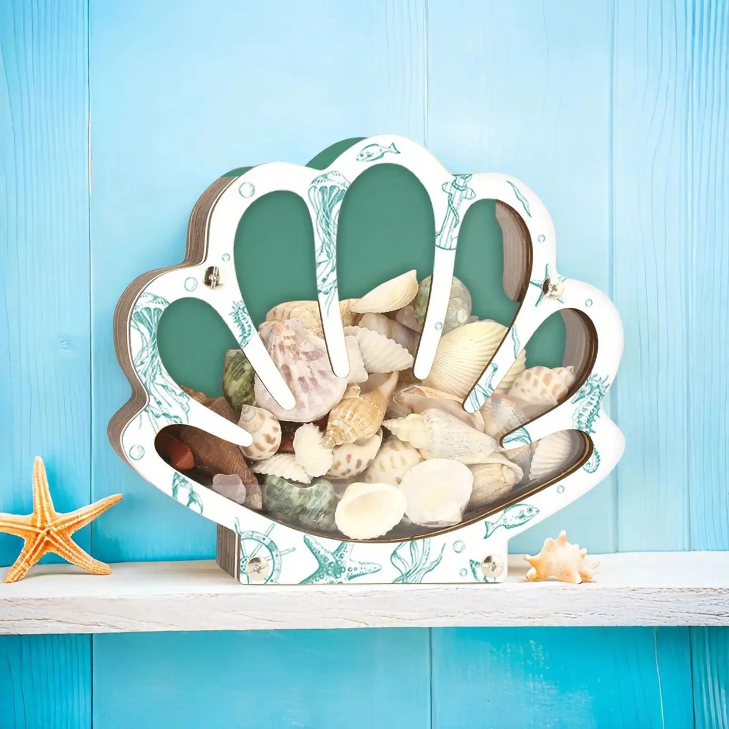 Empty Box Shells Storage Container Decorative Organizer Jewelry Beads Trinket Clear Gift Creative Desktop Shells Display Box