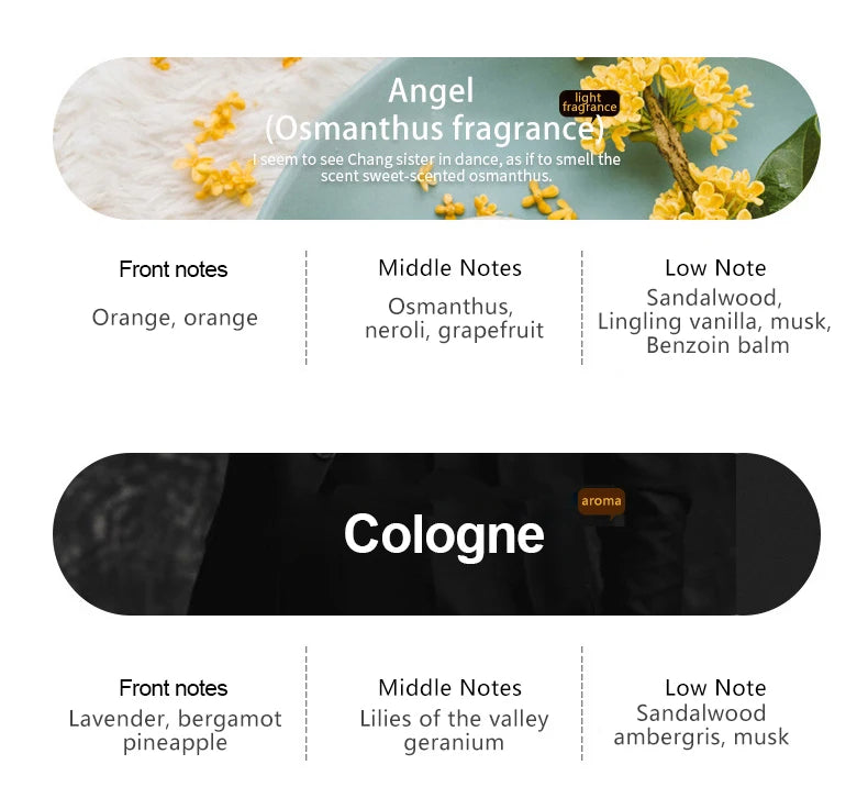 Car Perfume Car Air Freshener Smell Aromatherapy Long Lasting Fragrance Deodorizing Car Ornaments Accessories New