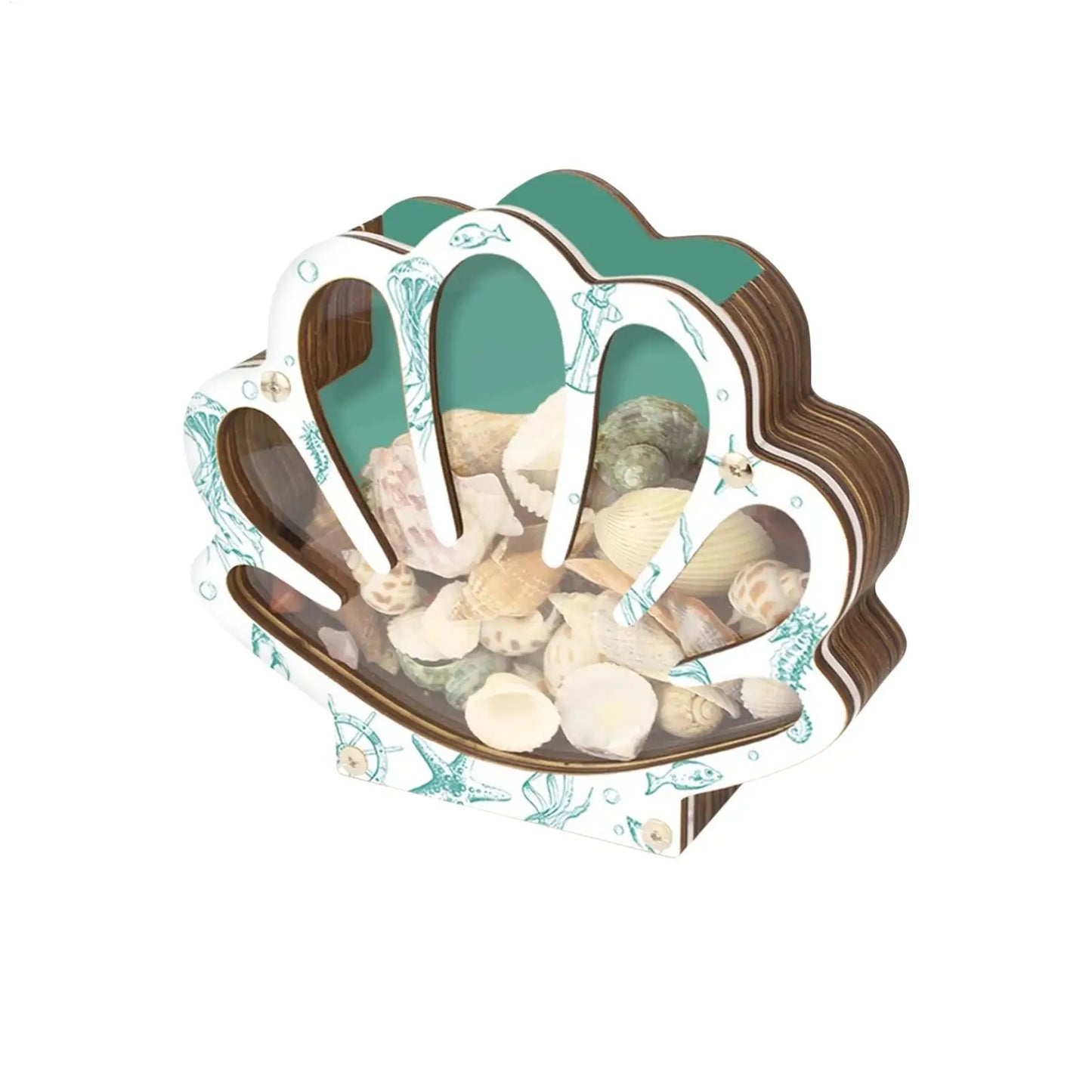 Empty Box Shells Storage Container Decorative Organizer Jewelry Beads Trinket Clear Gift Creative Desktop Shells Display Box