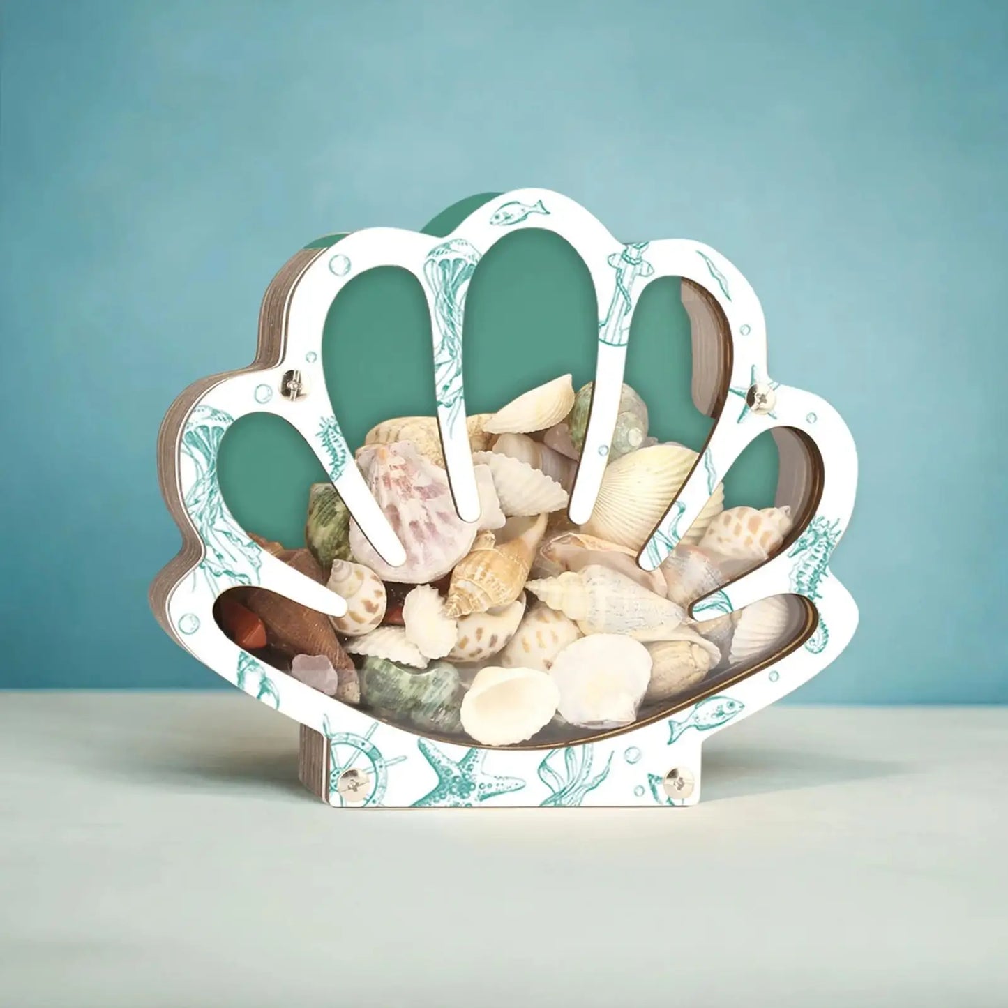 Empty Box Shells Storage Container Decorative Organizer Jewelry Beads Trinket Clear Gift Creative Desktop Shells Display Box