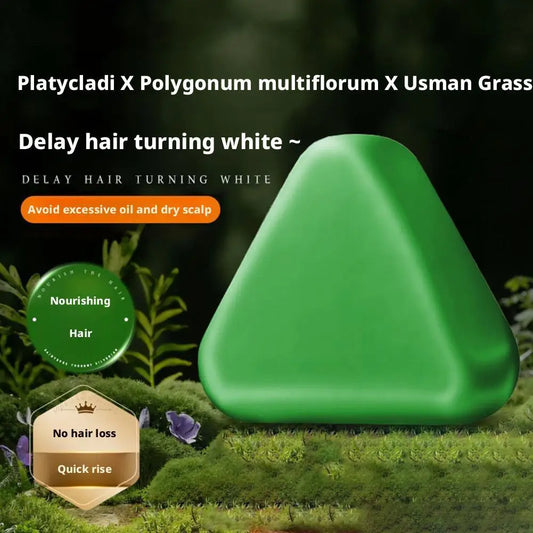 Shampoo Bar Platycladus Orientalis Natural Herbal Soap For Hair Loss Controls Oil Strengthens Root Shampoo Soap Hair Accessories