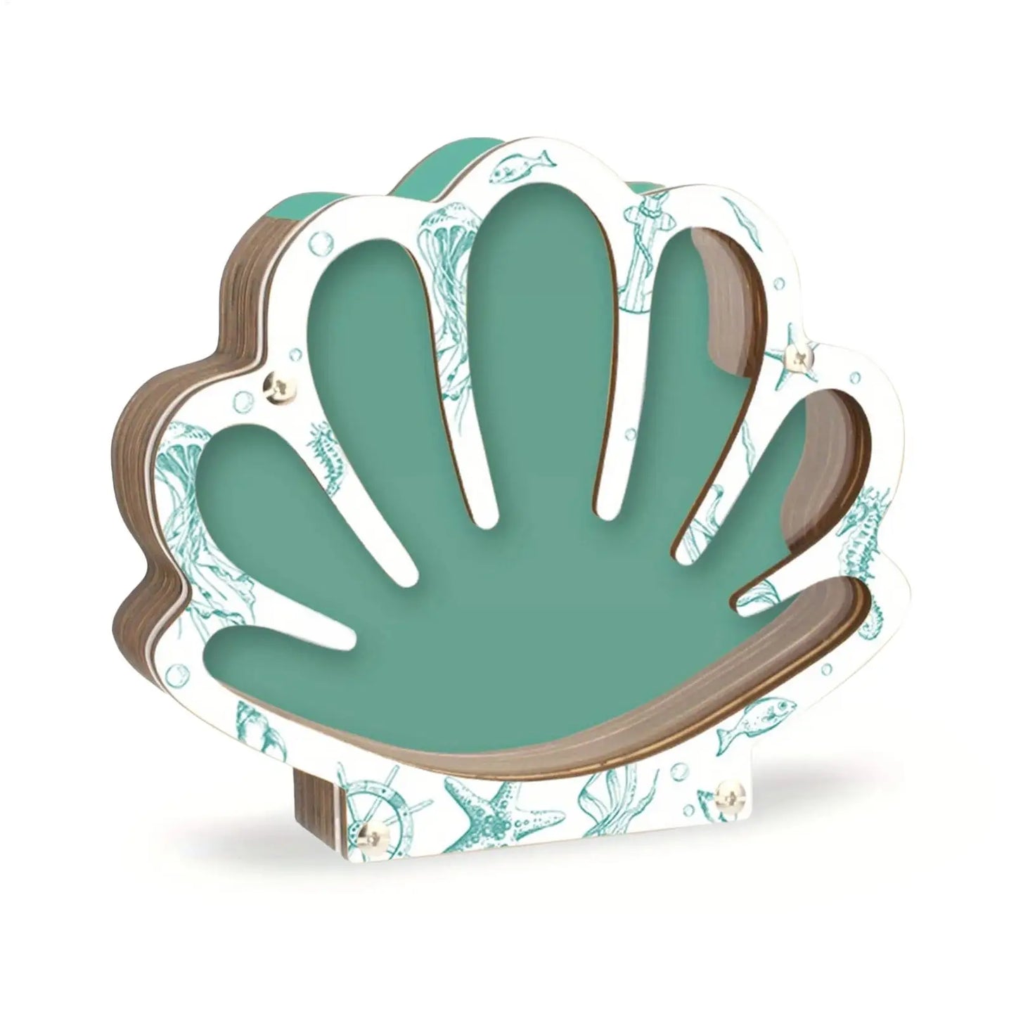 Empty Box Shells Storage Container Decorative Organizer Jewelry Beads Trinket Clear Gift Creative Desktop Shells Display Box