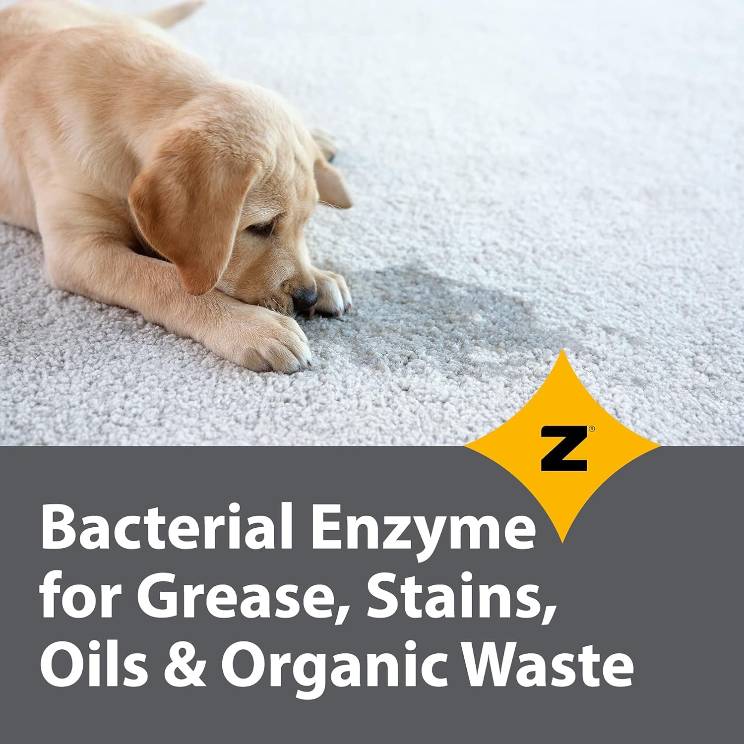 Pro-Grade Multi-Purpose Probiotic Enzyme Cleaner - Pet Stain and Odor Remover, Drain Cleaner - Powerful Cleaning & Odor Eliminating Formula for Professional & Home Surfaces - 1 Gallon