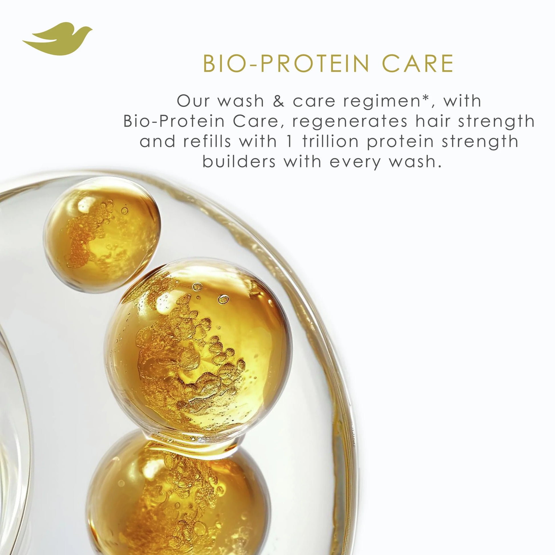 Damage Therapy Shampoo Daily Moisture with Bio-Protein Care Technology & Hyaluronic Serum, 12 Oz