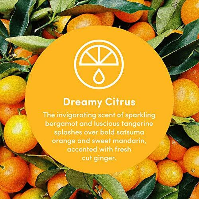 Clean Revolution Foaming Hand Soap Refill Supply Assorted Scent Names
