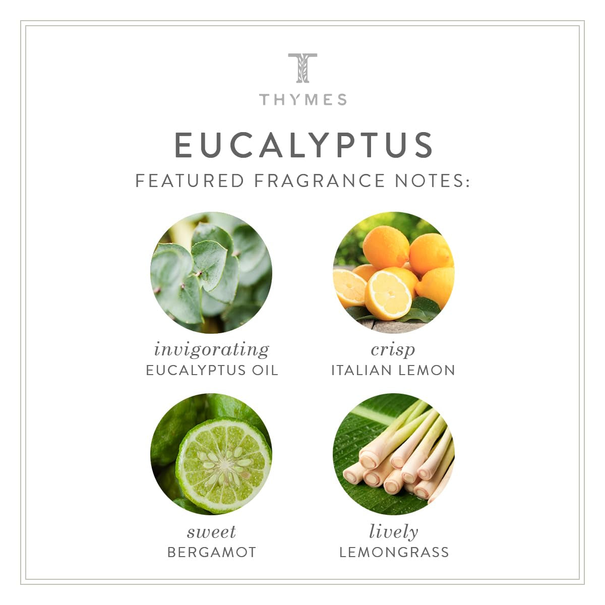 Eucalyptus Body Scrub