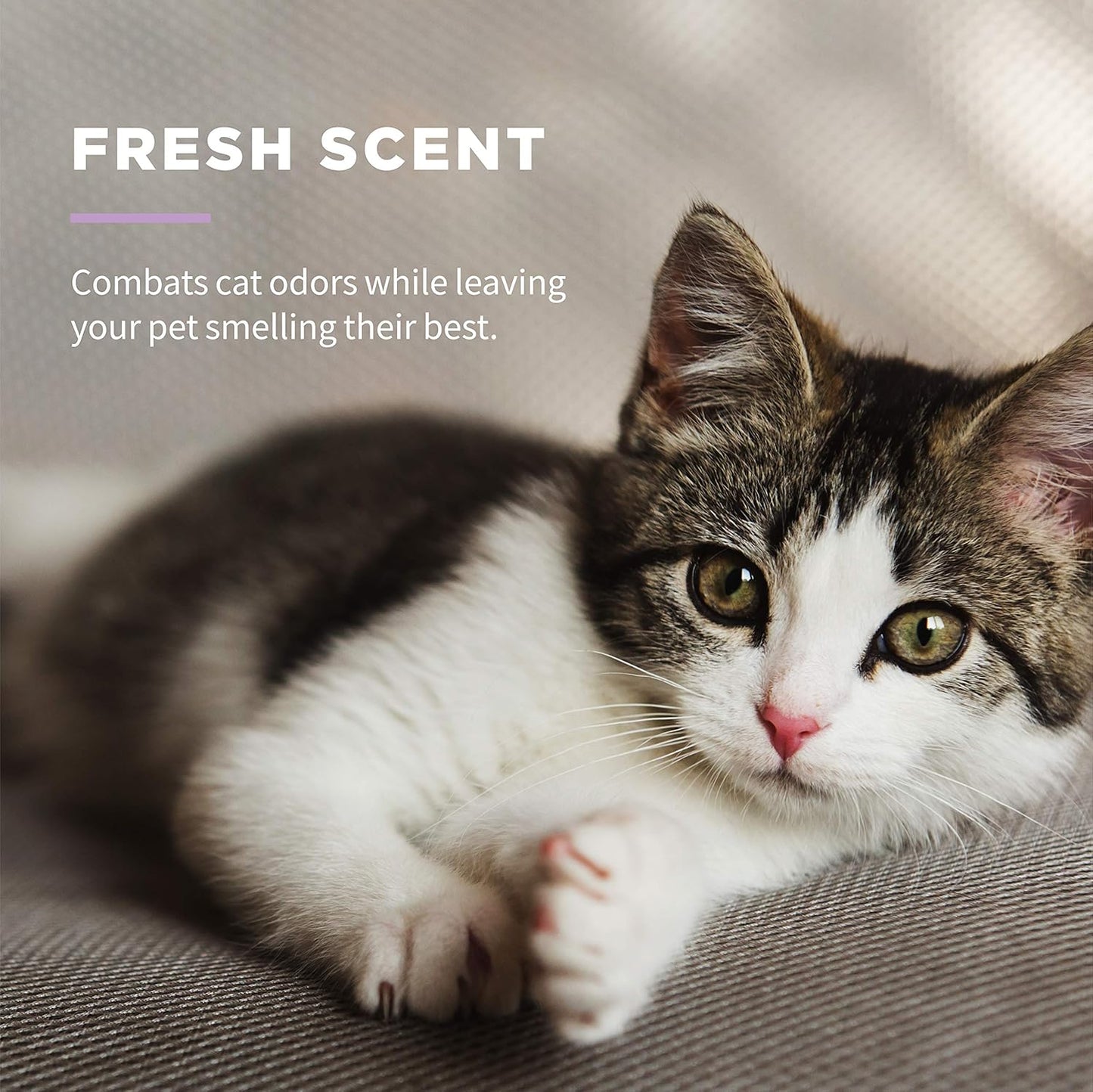 for Pets Delicate Clean Kitten Wipes for Cats with Oatmeal Cat Cleaning Wipes, Mild & Soothing Cat Grooming Wipes with Wet Lock Seal(Pack of 8, 240 Count Total)