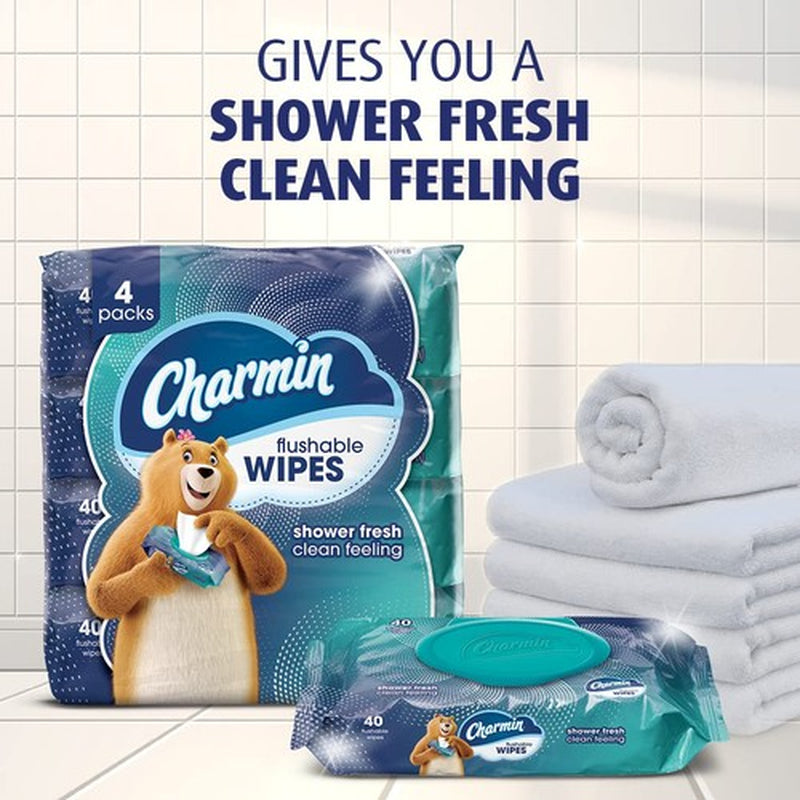 Charmin Flushable Wipes 2 Pack 40 Sheets Portable Cleaning Wipes